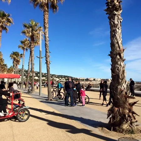 Studio Lumineux Proche Plage Avec Parking Prive - Fr-1-338-358