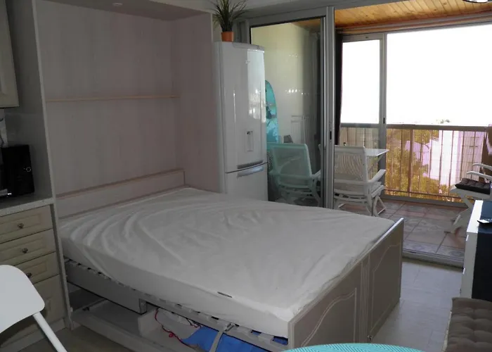 Studio Lumineux Proche Plage Avec Parking Prive - Fr-1-338-358 *