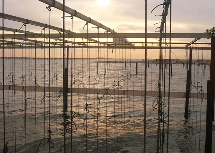 Studio Lumineux Proche Plage Avec Parking Prive - Fr-1-338-358 Lägenhet